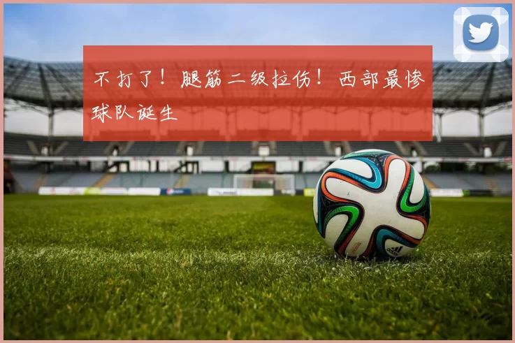 不打了！腿筋二级拉伤！西部最惨球队诞生