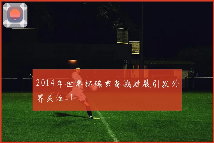 2014年世界杯瑞典备战进展引发外界关注_1