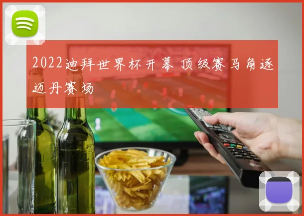 2022迪拜世界杯开幕 顶级赛马角逐迈丹赛场