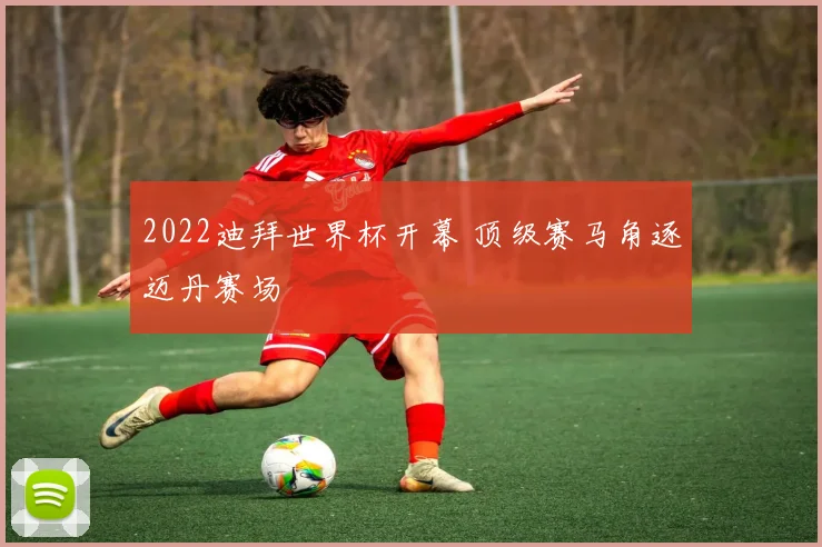2022迪拜世界杯开幕 顶级赛马角逐迈丹赛场