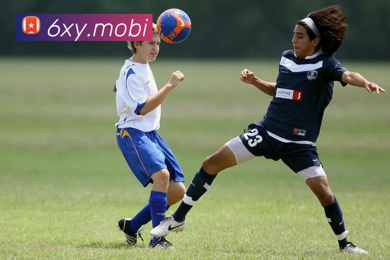 多媒体互动体验